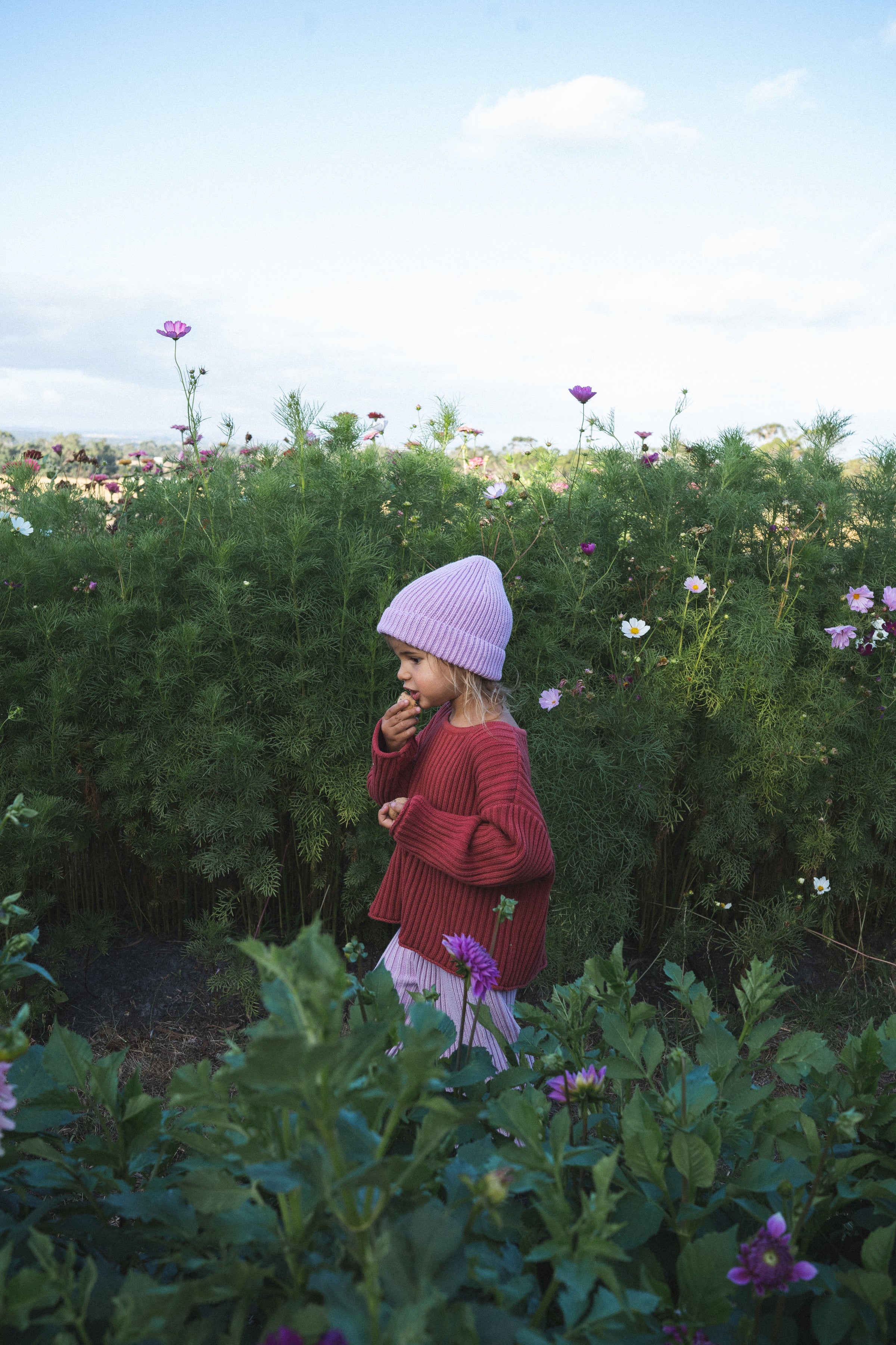 Illoura The Label
