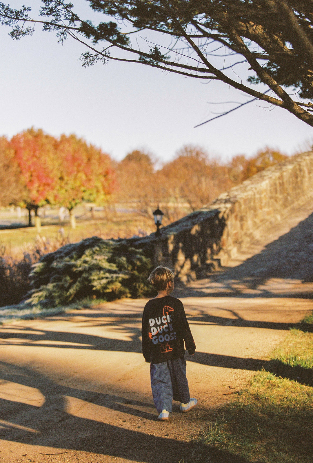 Duck Duck Goose Tee