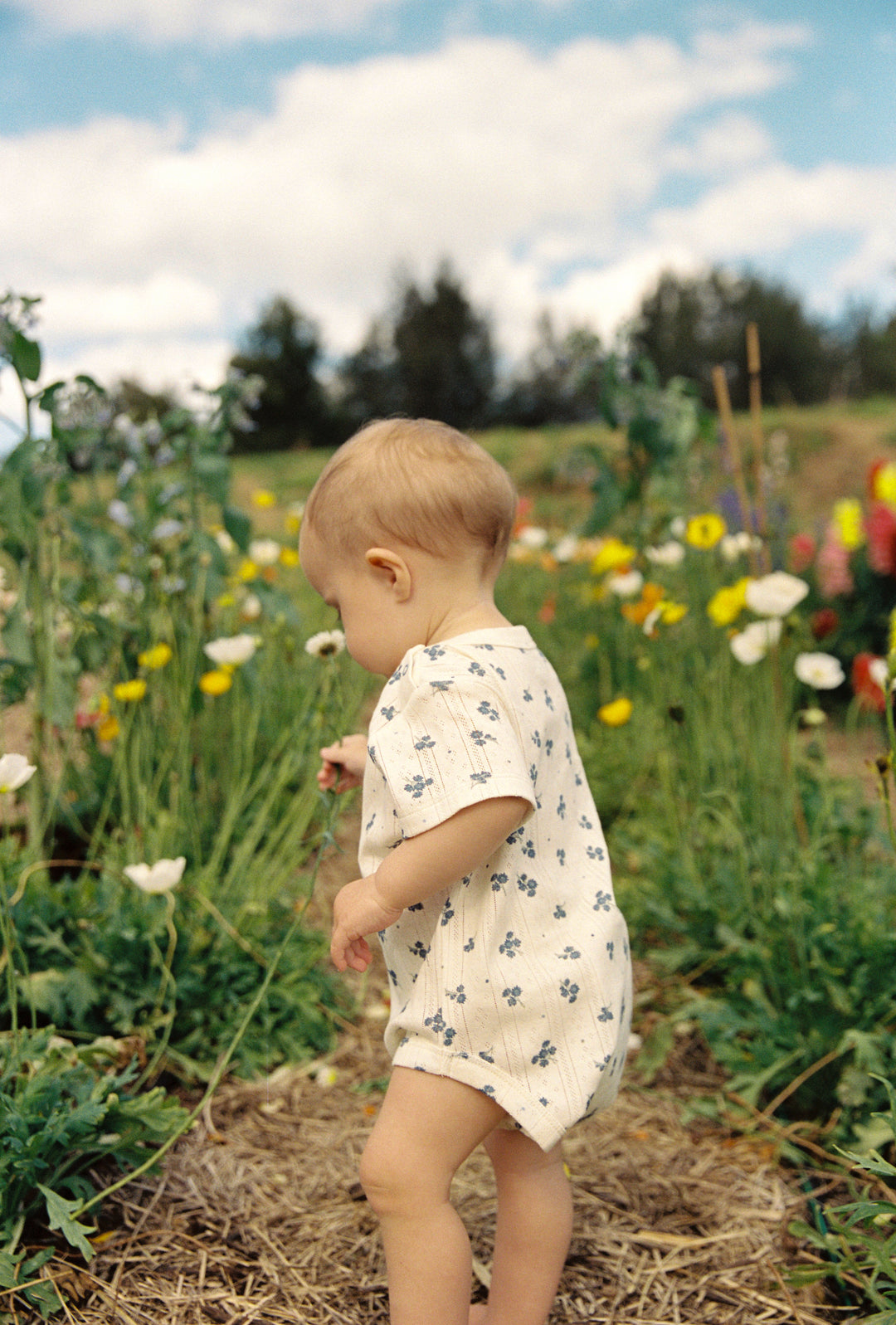 Peony Pointelle Onesie