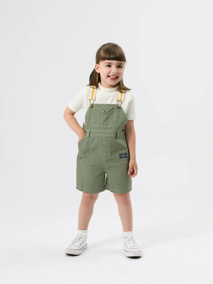 Carpenter Utility Burton Overalls