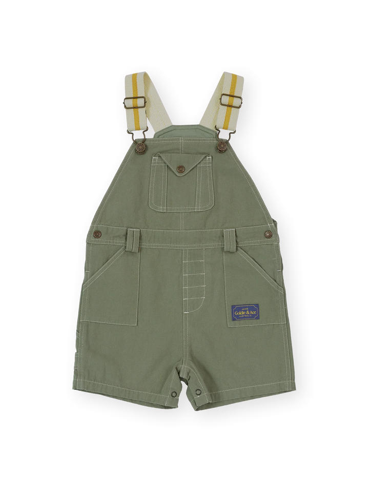 Carpenter Utility Burton Overalls