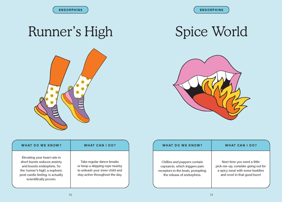 The Happiness Chemicals Book