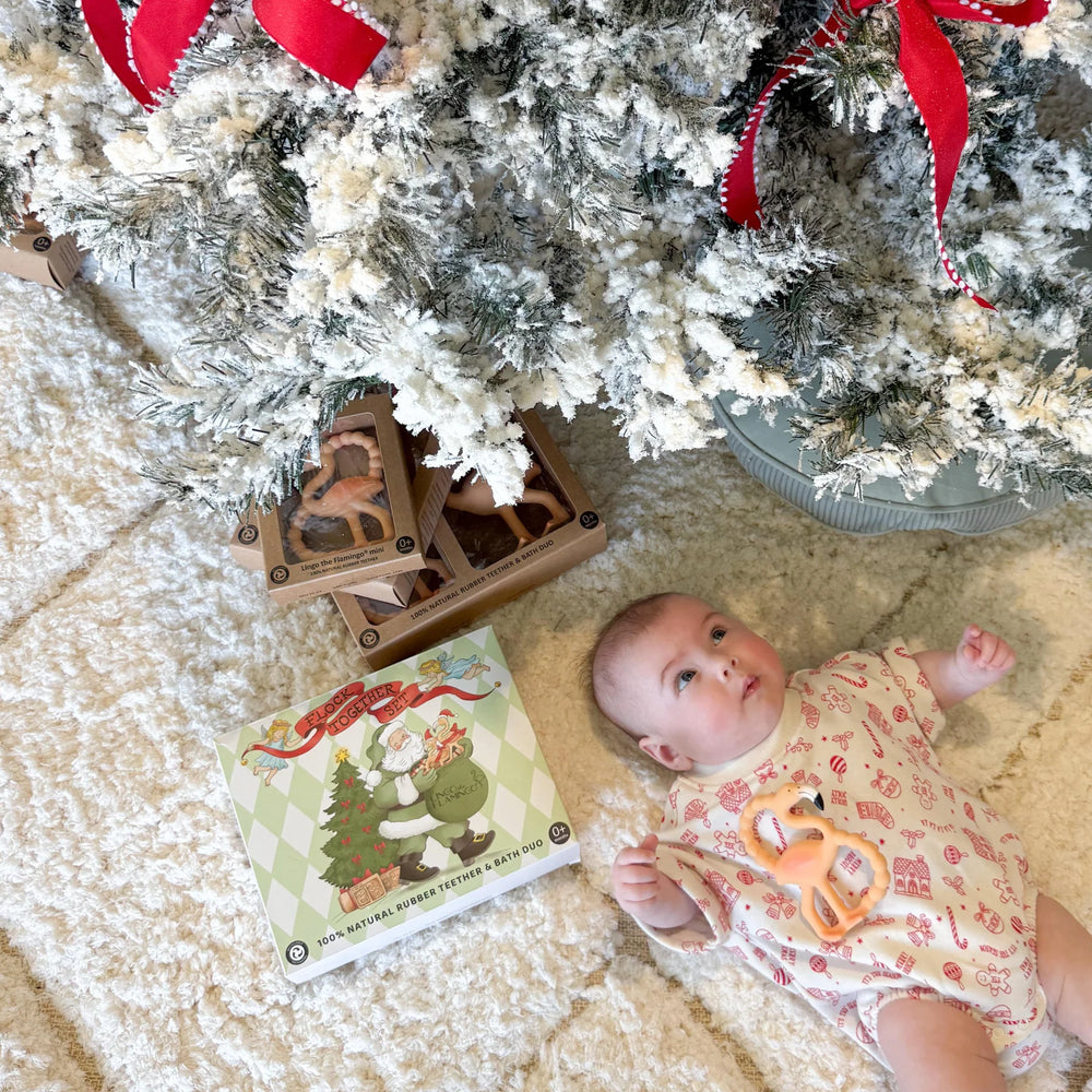 Christmas Flock Together Set