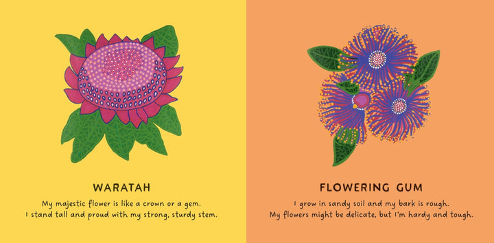 Our Flowers Board Book