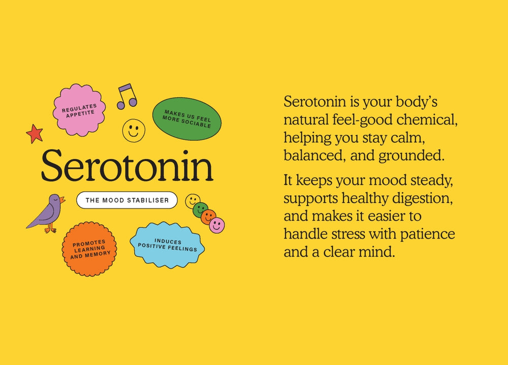 The Happiness Chemicals Book