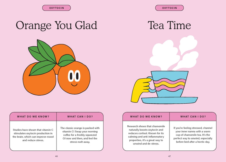 The Happiness Chemicals Book