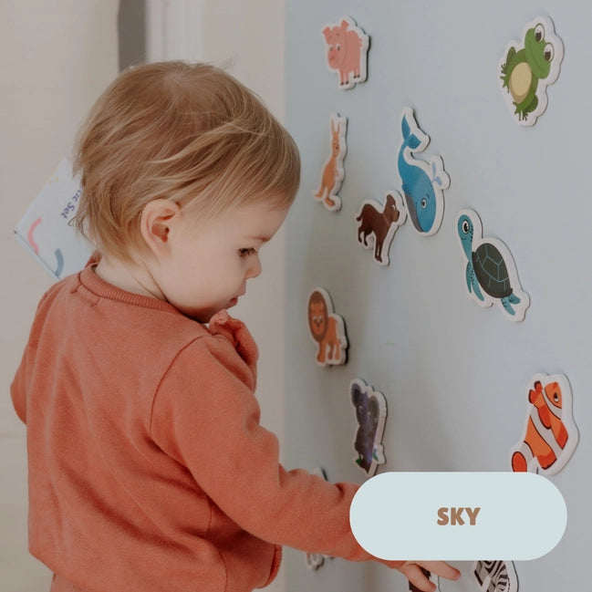 Magplay Magnetic Wall Decal 2.0 Wallkind™