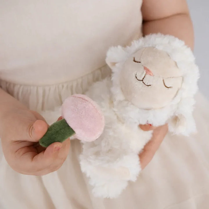Binky Lamb - May