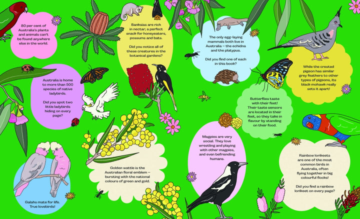 Birds, Blooms & Bugs