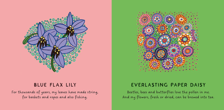 Our Flowers Board Book