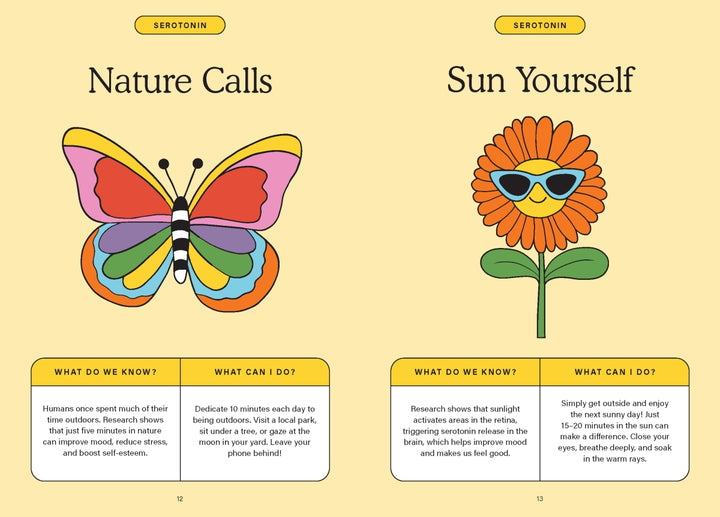 The Happiness Chemicals Book