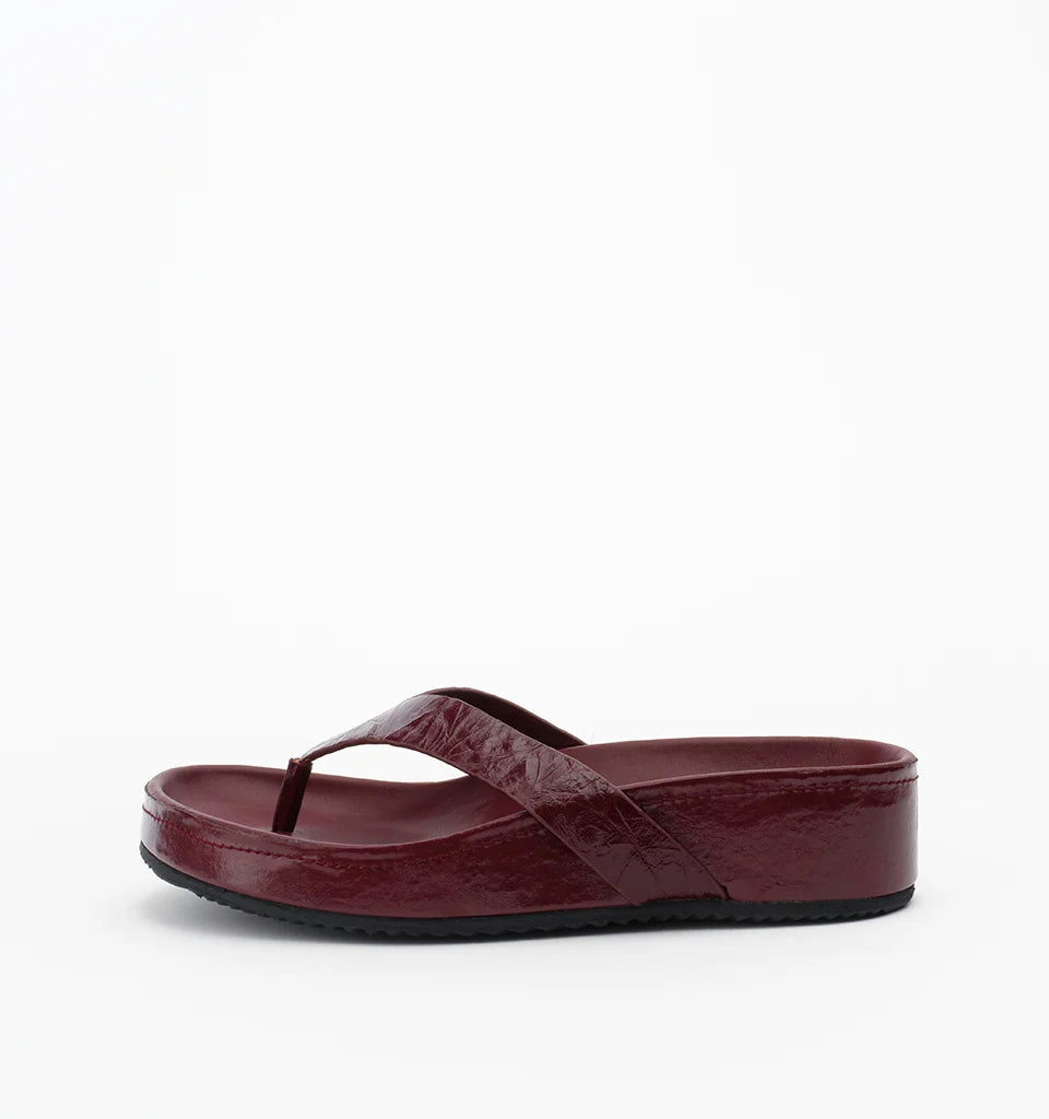 Banksia New Arrivals