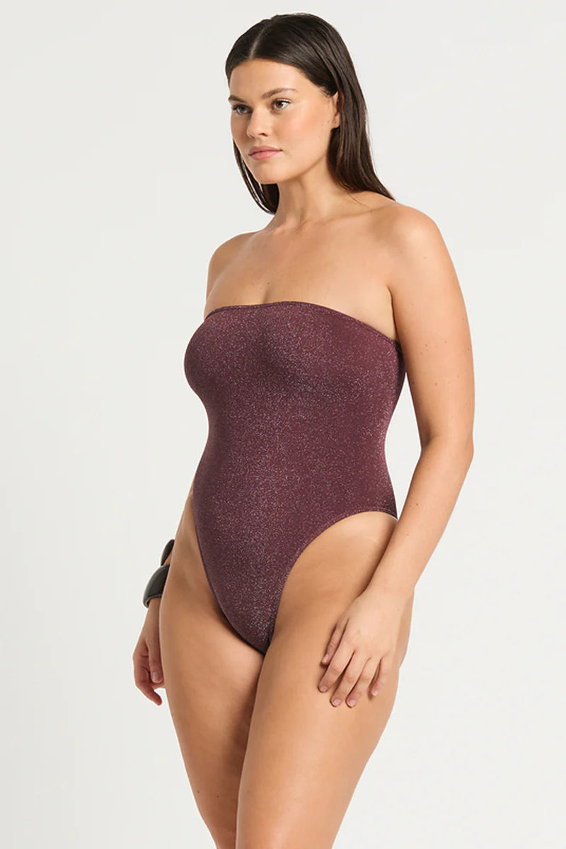 Banksia New Arrivals