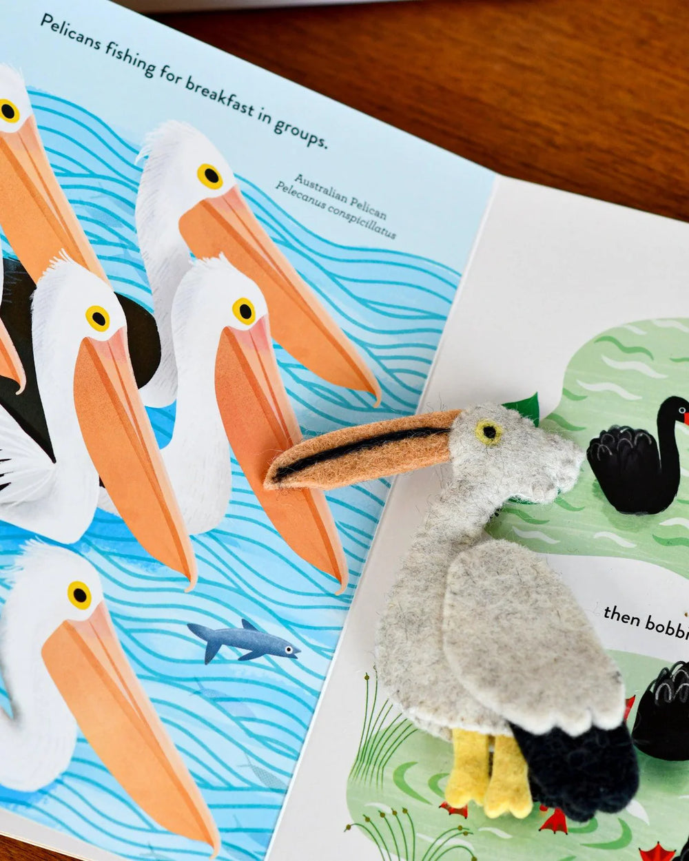 Busy Beaks Finger Puppets & Book Set By Sarah Allen