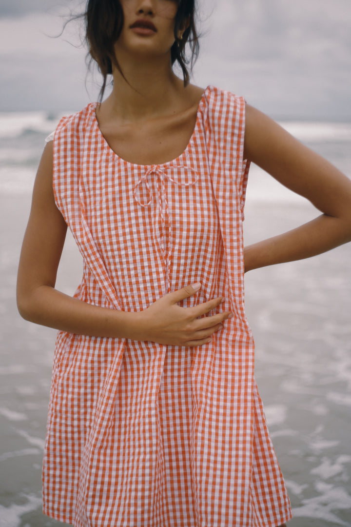 Luna Shift Dress - Starburst Gingham