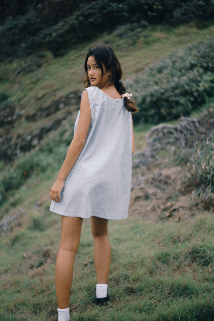 Luna Shift Dress - Spirulina Stripe