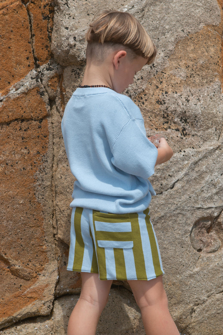 Vertical Stripe Knit Shorts - Ocean & Leaf