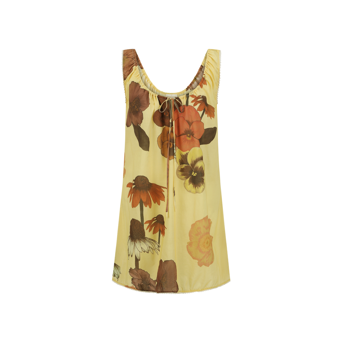 Banksia New Arrivals