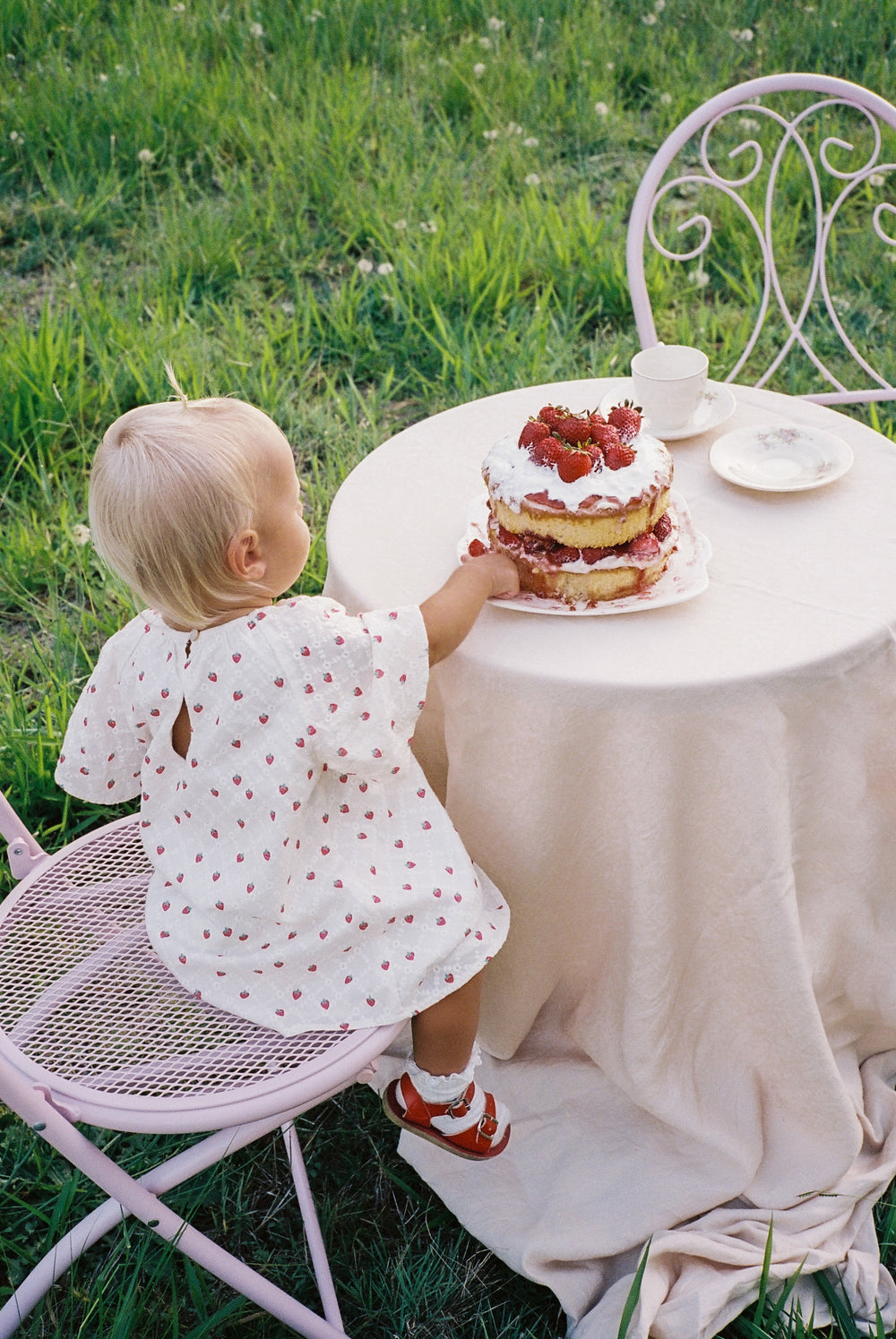 Penny Dress - Strawberry Broidery