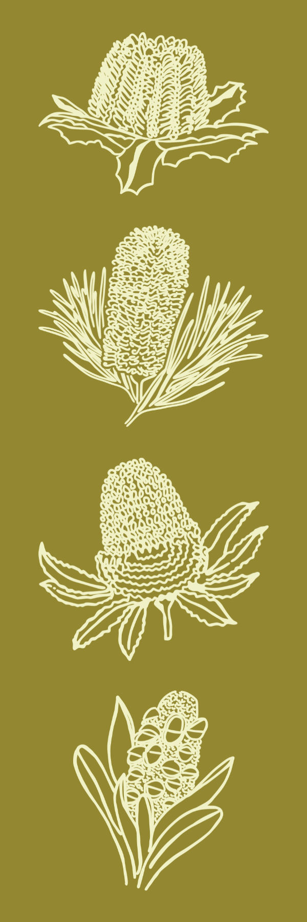 Banksia New Arrivals