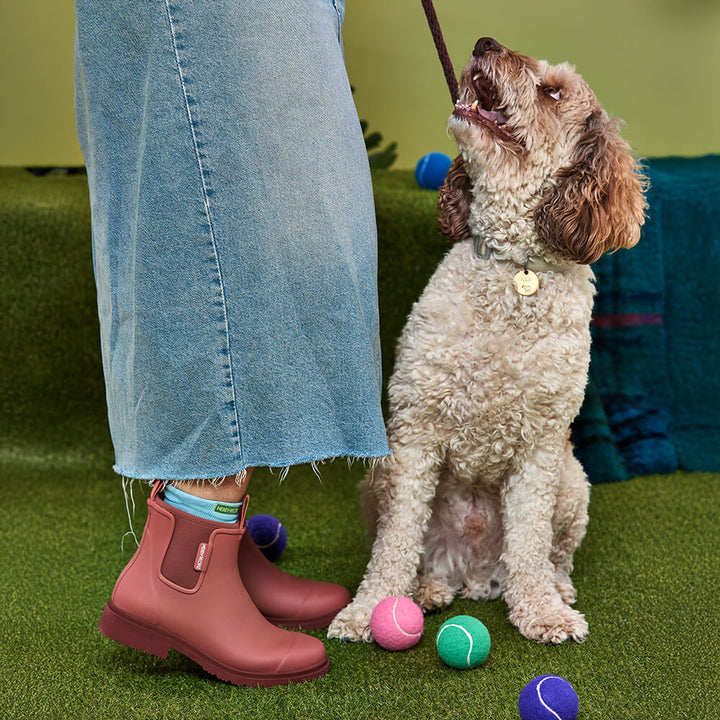 Bobbi Ankle Boot - Clay