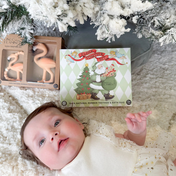 Christmas Flock Together Set