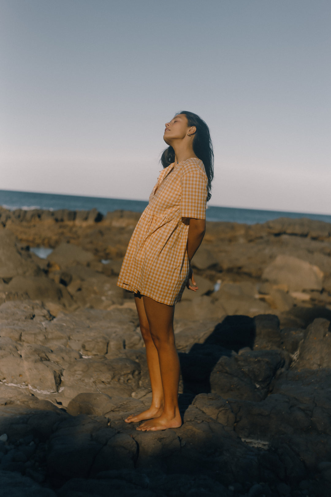 Darcey Dress - Clementine Gingham