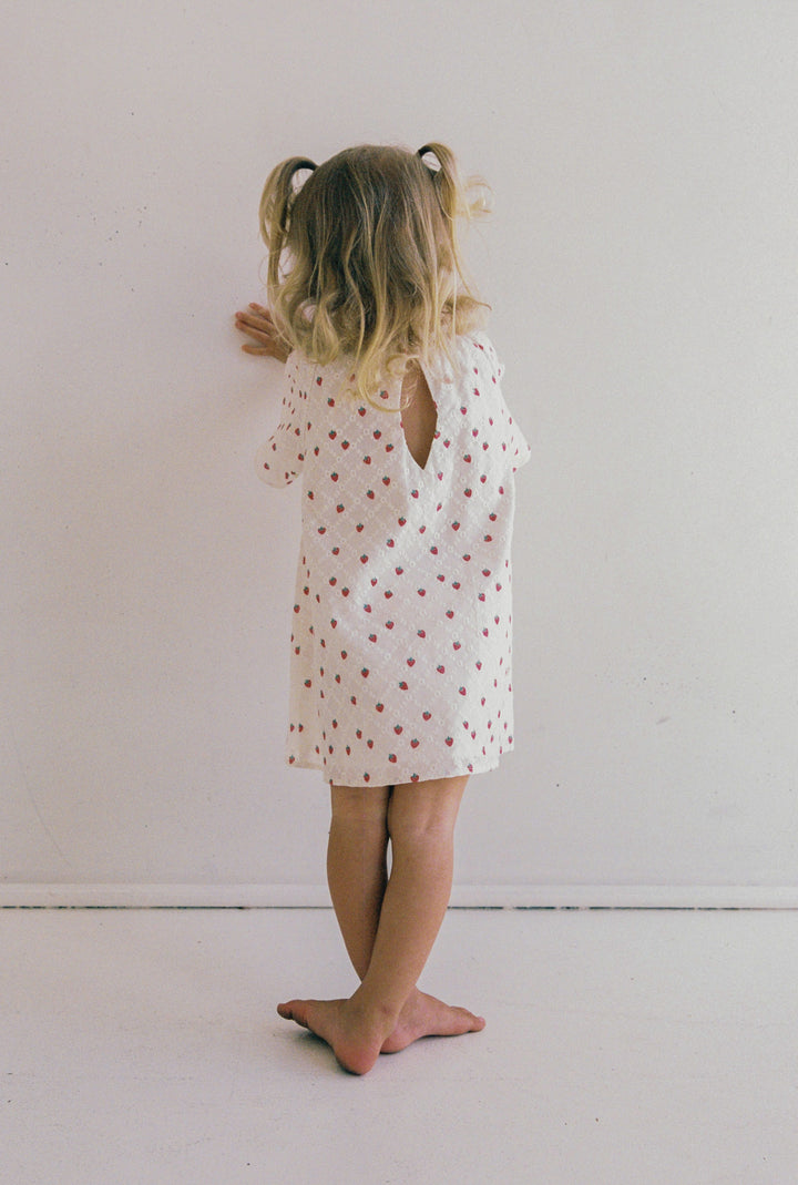 Penny Dress - Strawberry Broidery