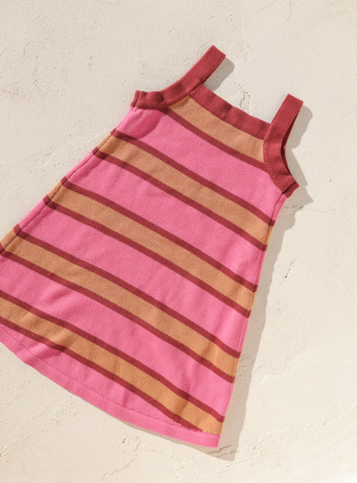 Stripe Knit Dress - Pink & Plum