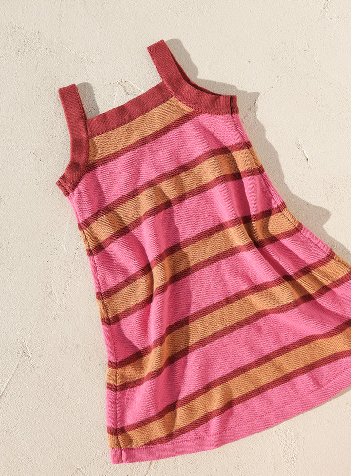 Stripe Knit Dress - Pink & Plum