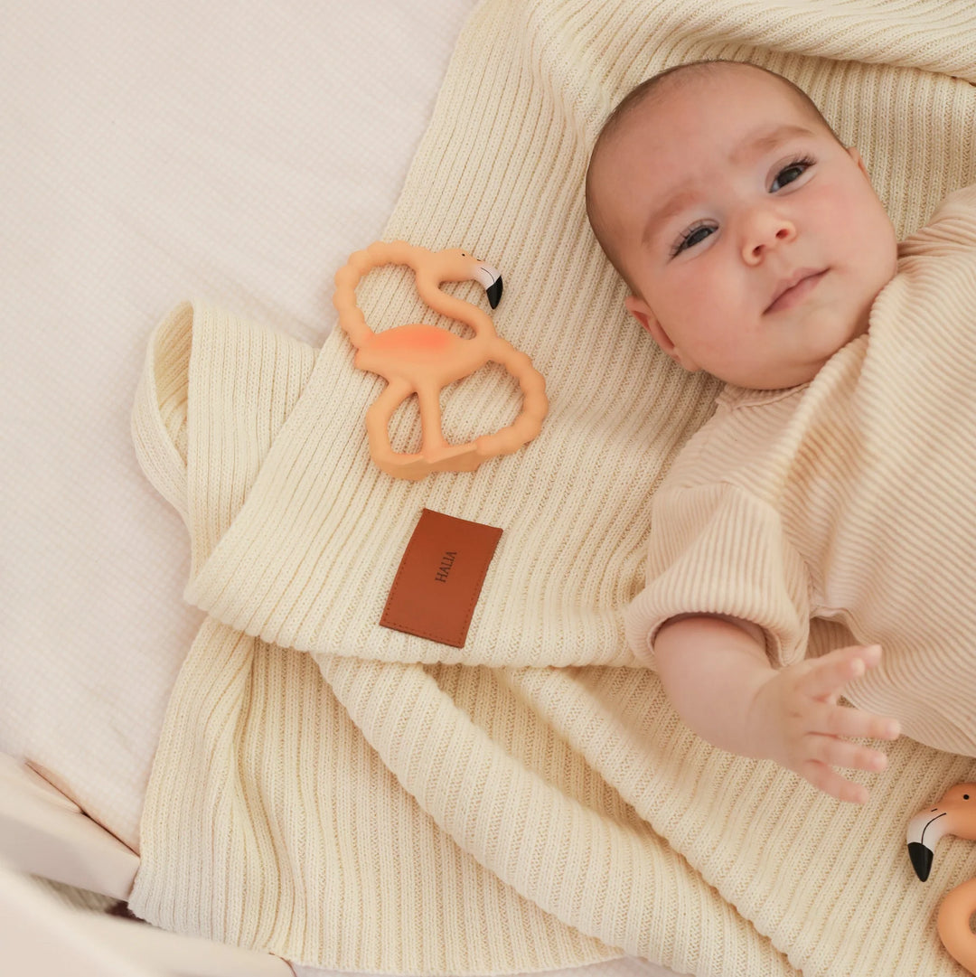 Lingo The Flamingo Mini Teether