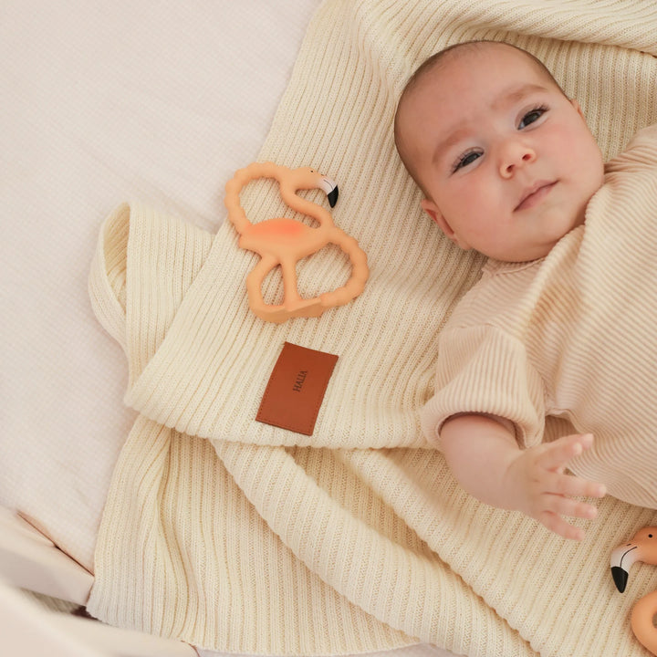 Lingo The Flamingo Mini Teether