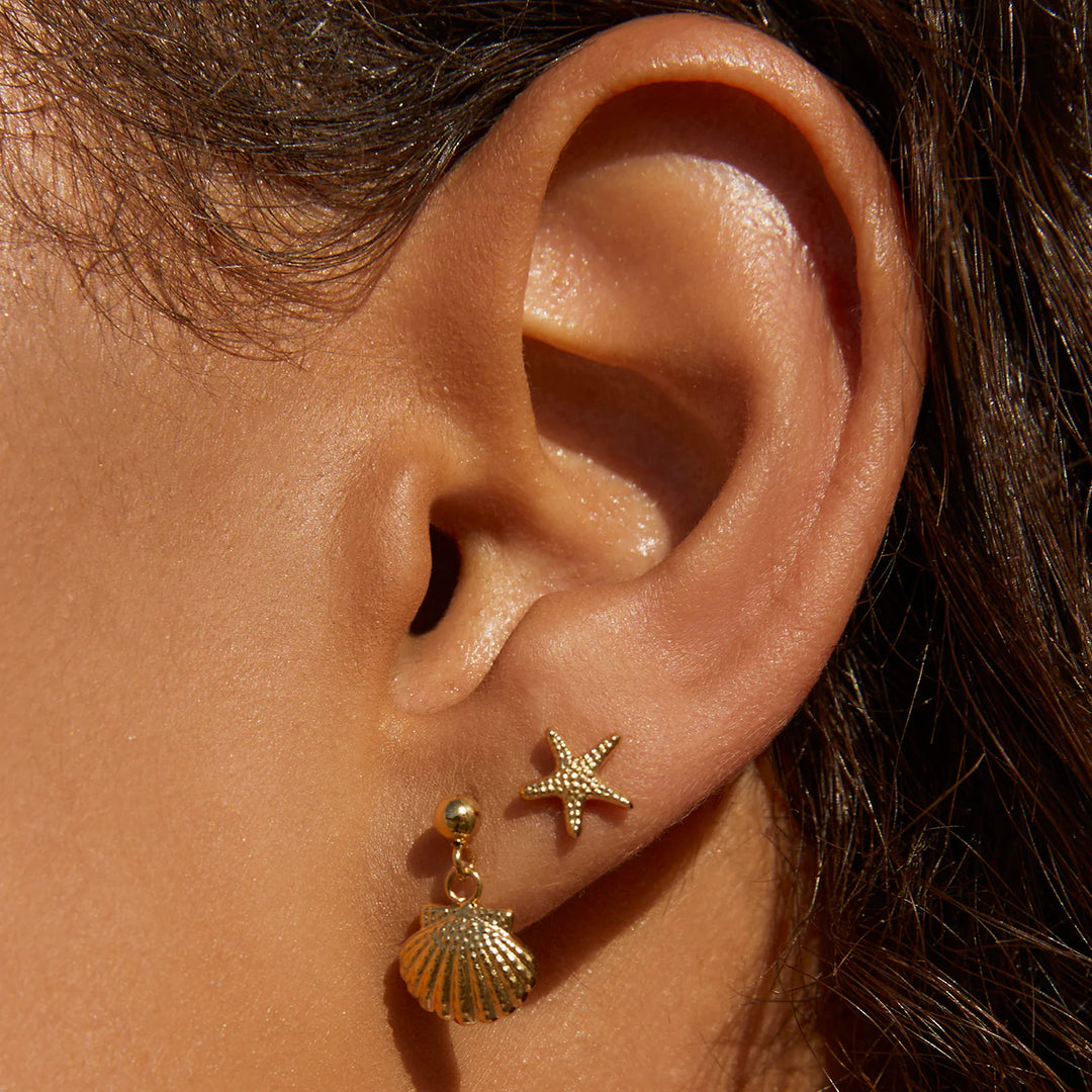 Starfish Gold Studs