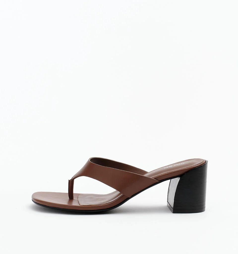 Banksia New Arrivals