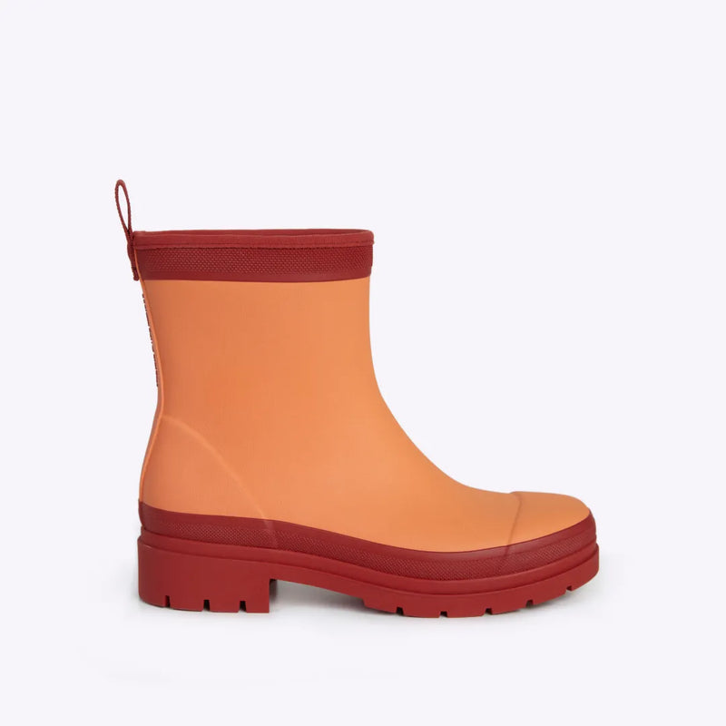 Banksia New Arrivals