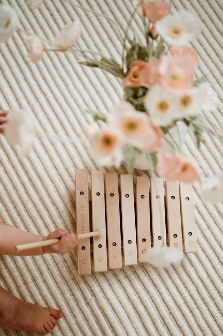 Little Notes Xylophone