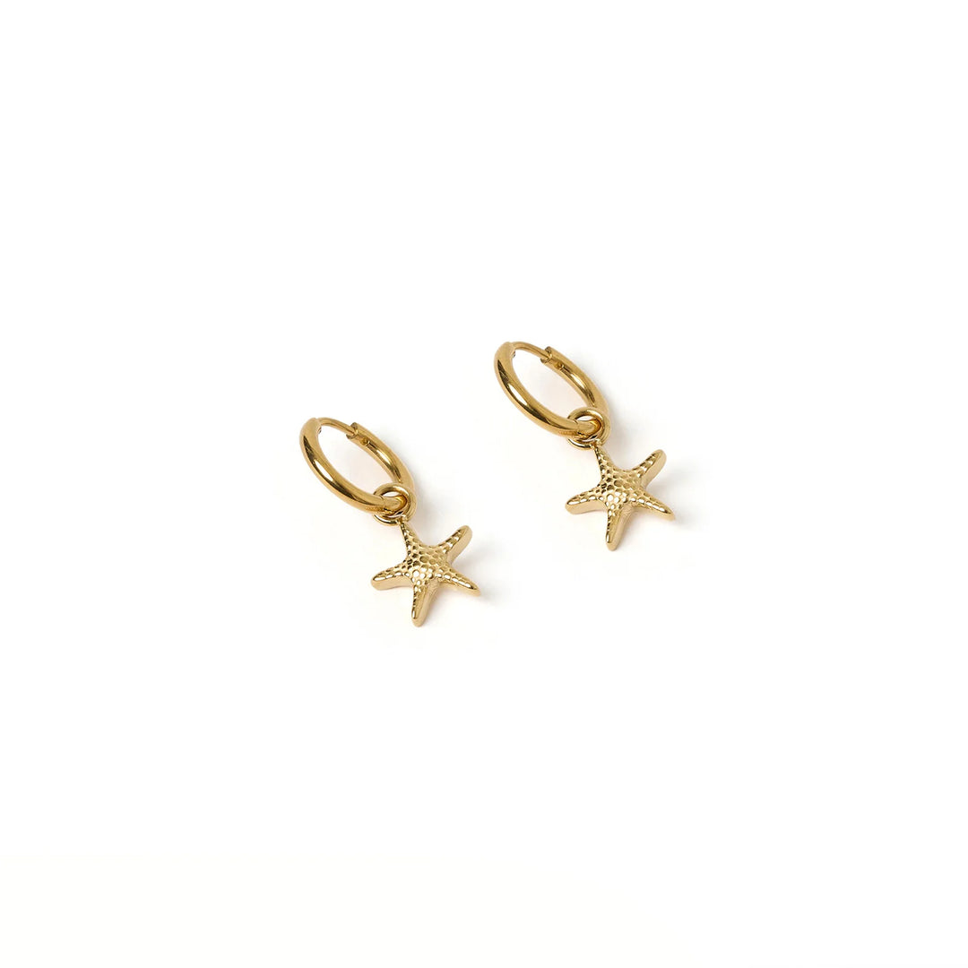 Sea Star Gold Earrings