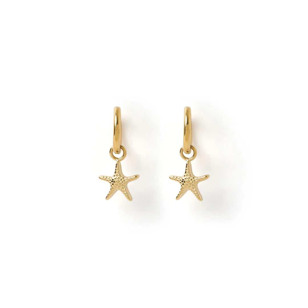 Sea Star Gold Earrings