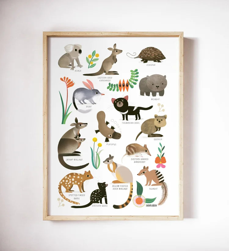 Australian Mammals Poster