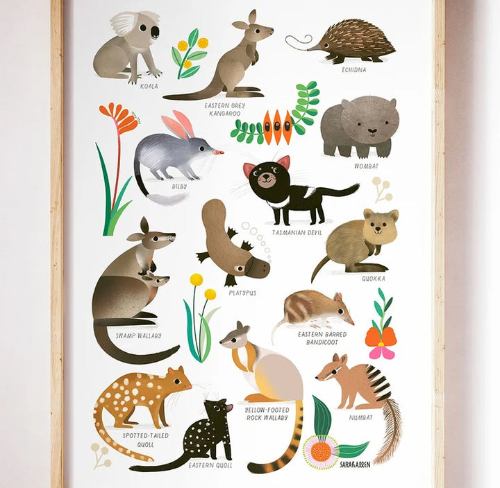 Australian Mammals Poster