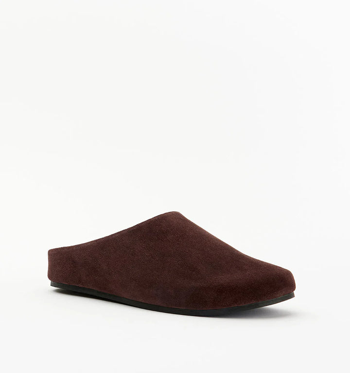 Shiloh - Choc Suede