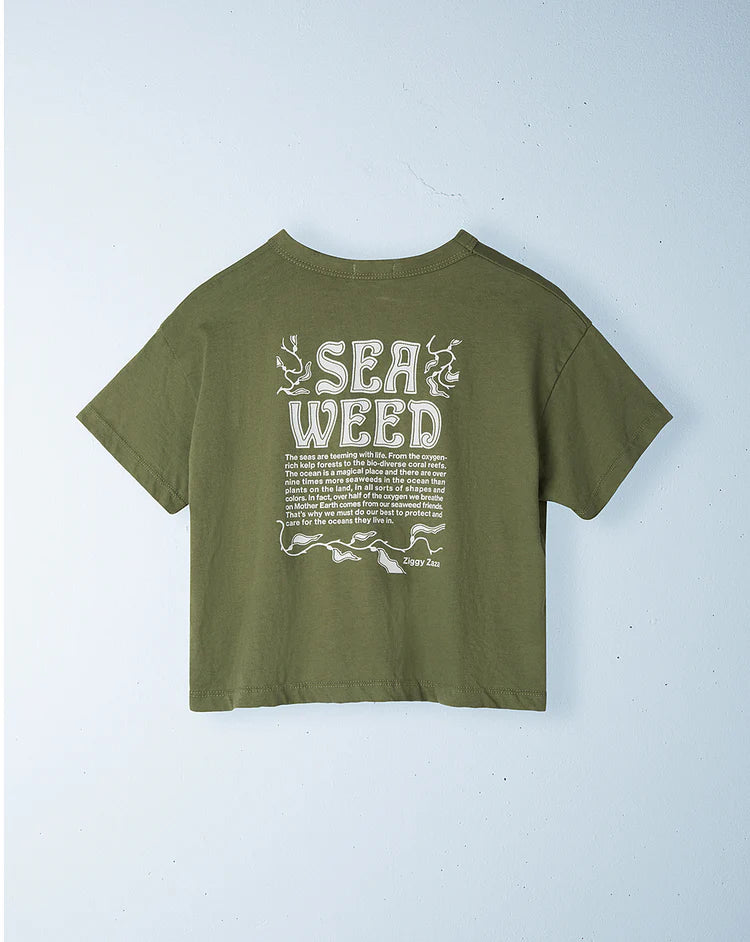 Seaweed Tee - Kelp