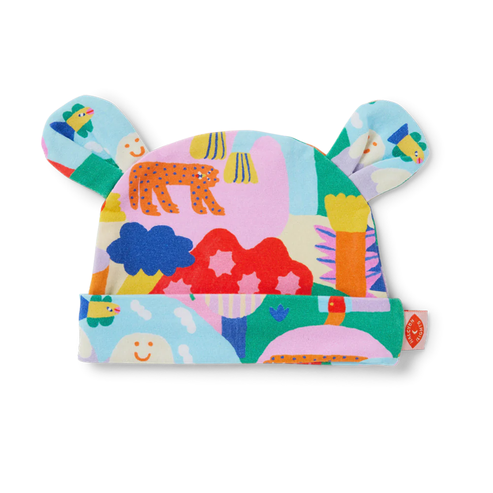 Rainbow Valley Baby Hat