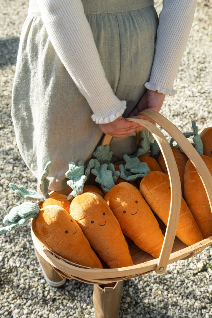 Curtis Carrot - The Caring Friend