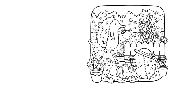 Aussie Cosy Homes A Cute & Comfy Australian Colouring Book