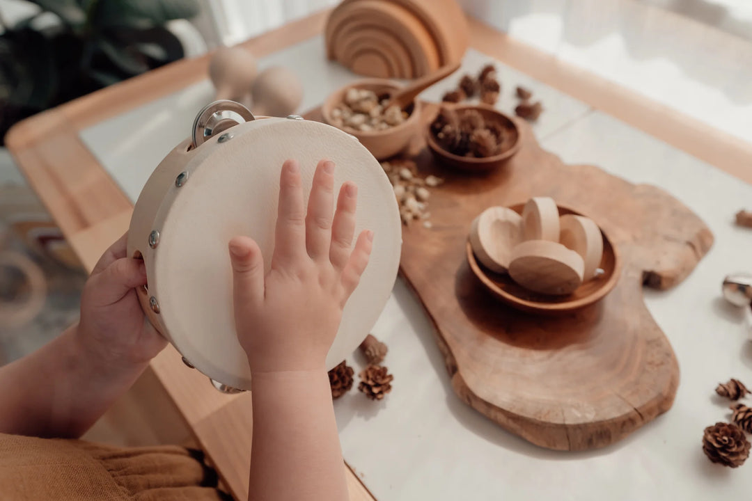 Tambourine Drum