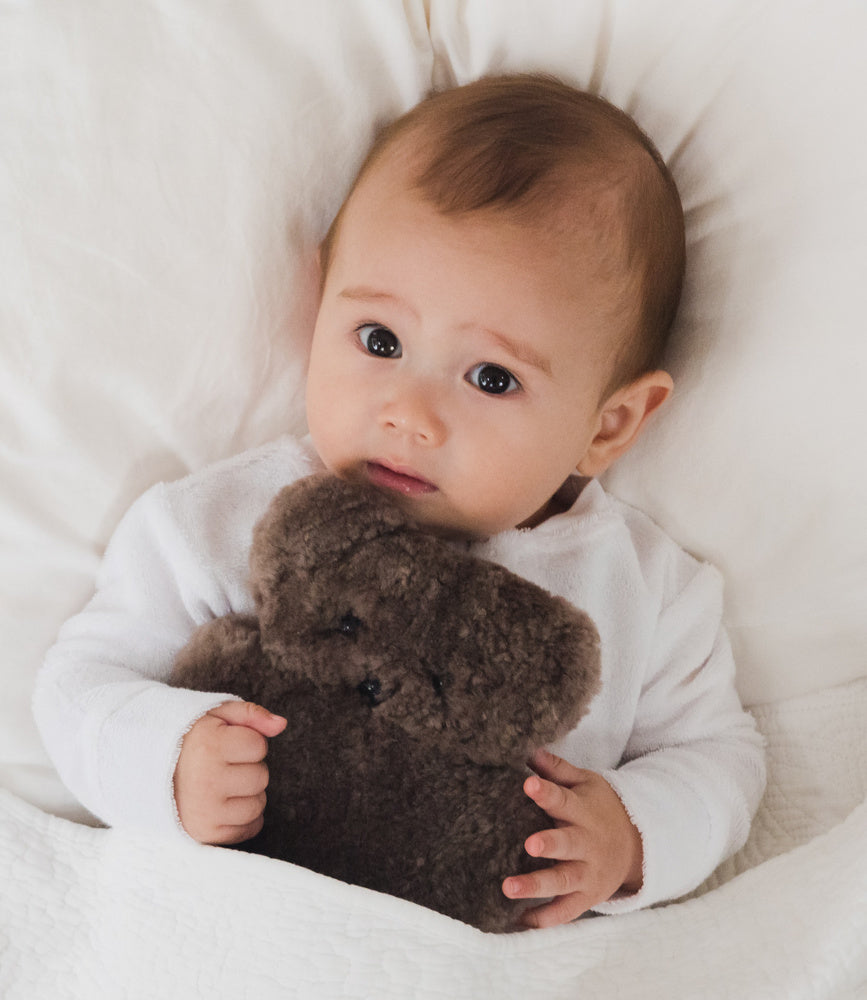 FLATOUTbear Baby Chocolate