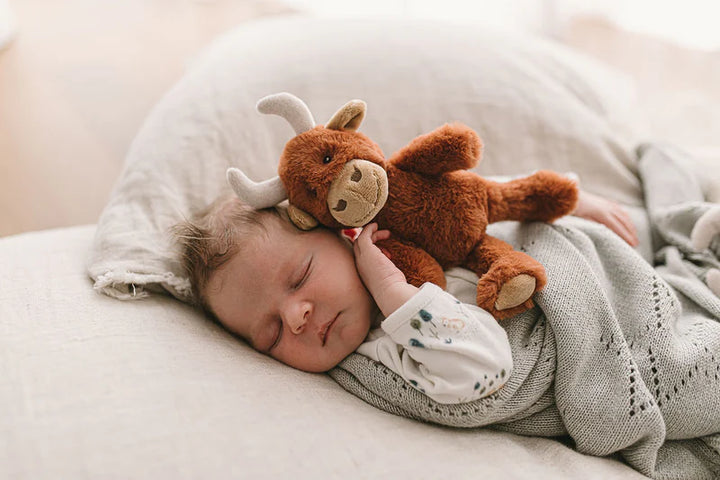 Henry the Highland Cow Rattle