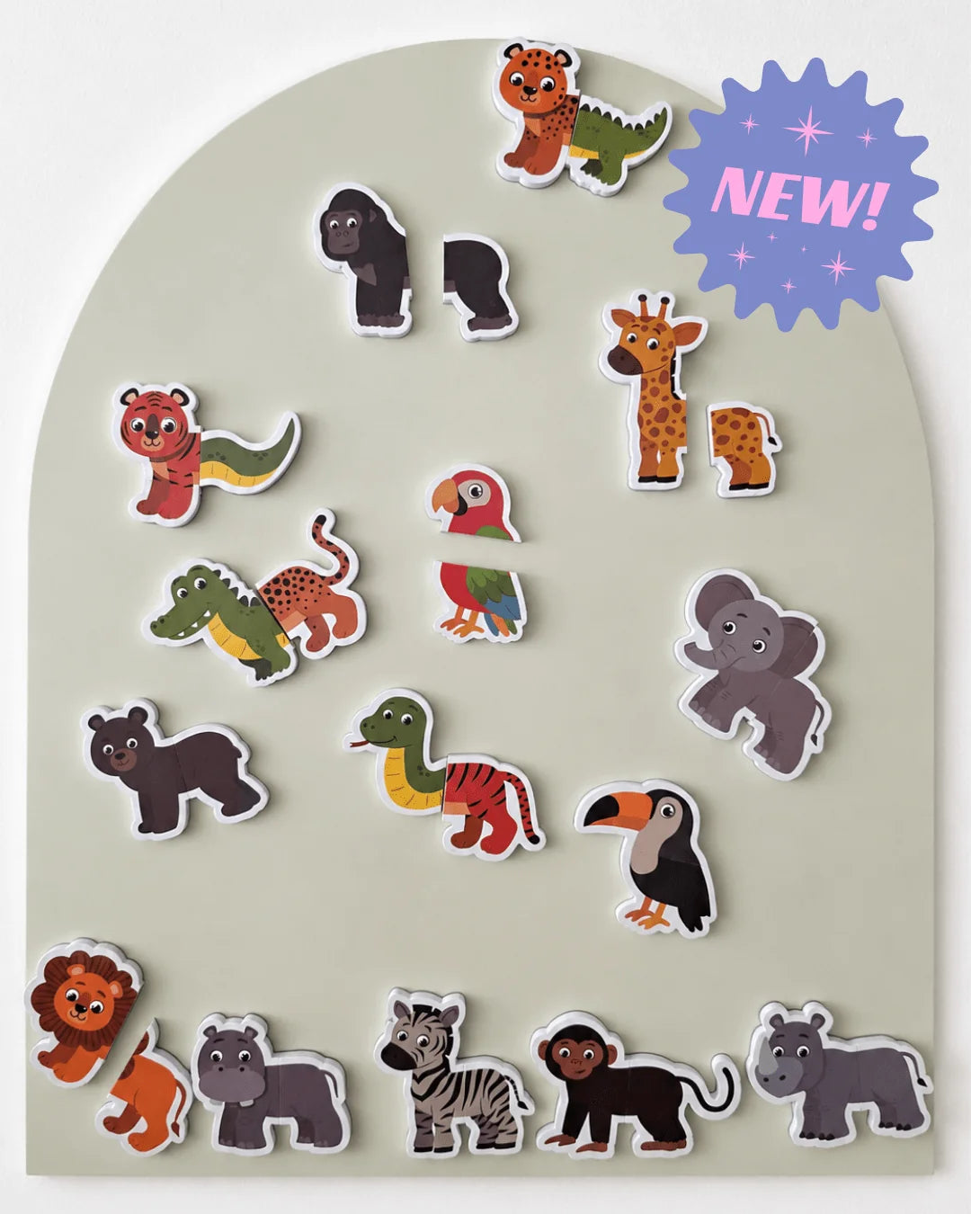 Jungle Heads and Tails Magnet Kit