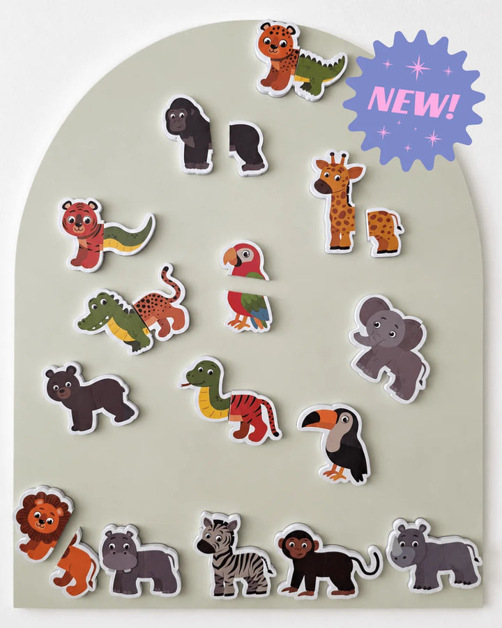 Jungle Heads and Tails Magnet Kit